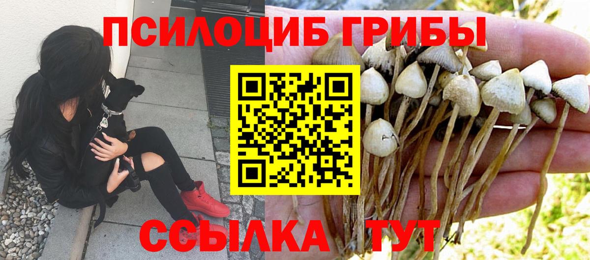 Галлюциногенные грибы Psilocybe  Псилоцибиновые грибы Cubensis  Вход с VPN  Кумертау 